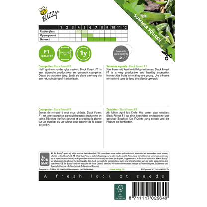 Buzzy® Squash Black Forest F1