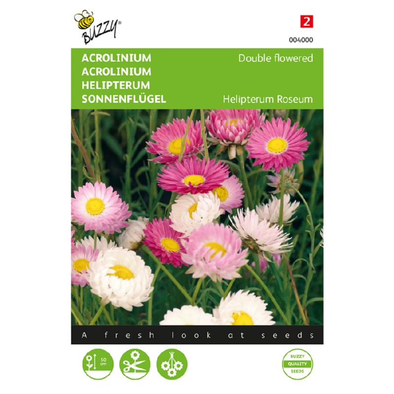 Buzzy® Helipterum Double, mixed