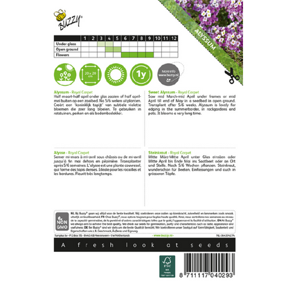 Buzzy® Sweet Alyssum Royal Carpet