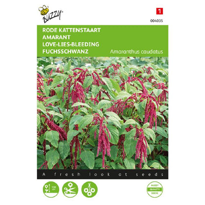 Buzzy® Amaranth Love-Lies-Bleeding, red