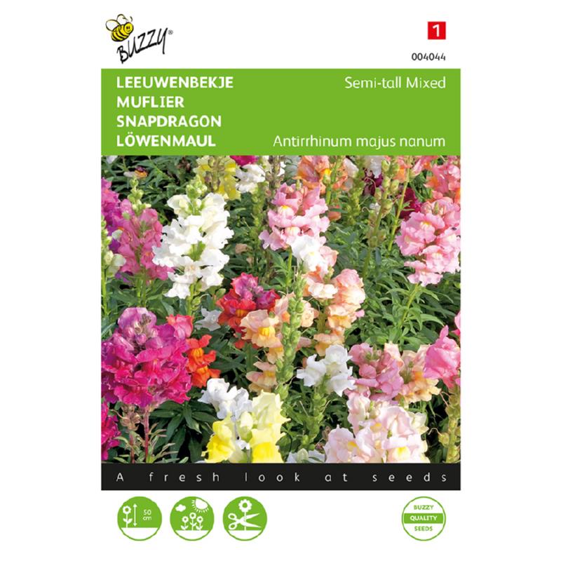 Buzzy® Snapdragon Semi-tall, mixed