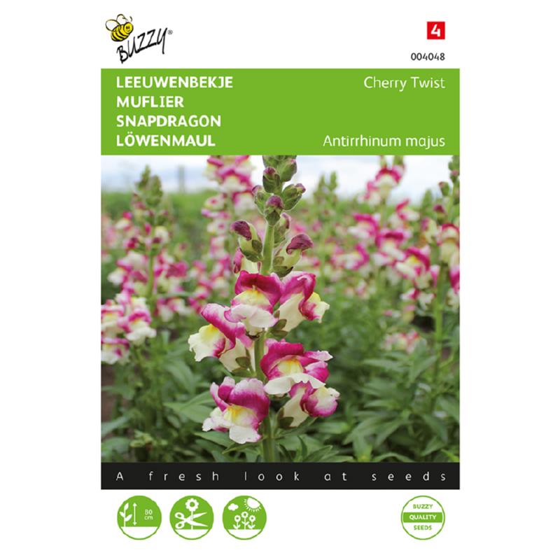 Buzzy® Snapdragon Cherry Twist