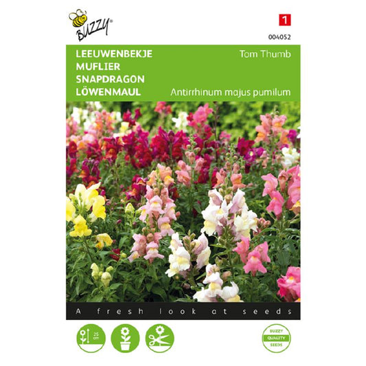 Buzzy® Snapdragon Tom Thumb, mixed