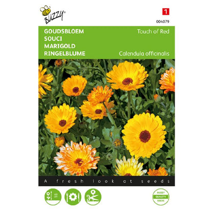 Buzzy® Marigold Touch of Red mixed