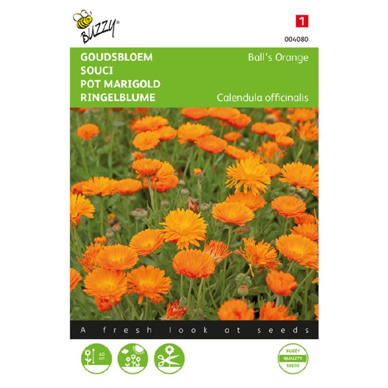 Buzzy® Pot marigold Ball’s Orange, double