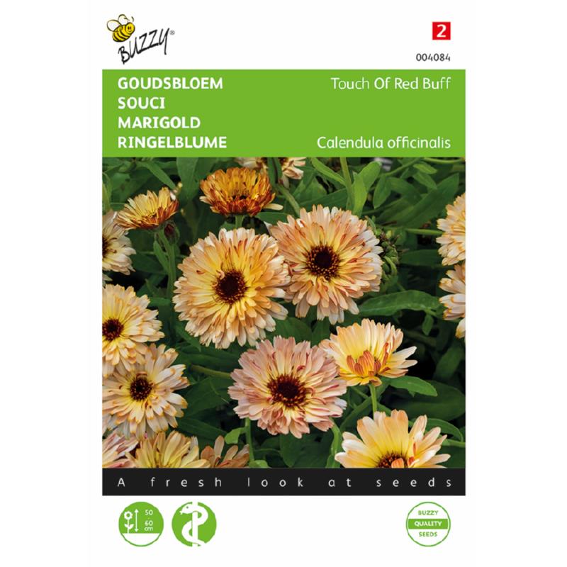 Buzzy® Marigold Touch Of Red Buff