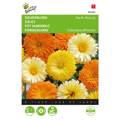 Buzzy® Pot Marigold Pacific Beauty double mixed