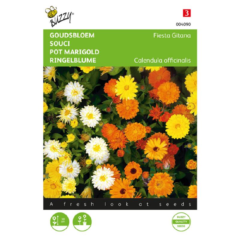 Buzzy® Pot marigold Fiesta Gitana, mixed