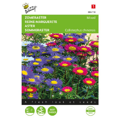 Buzzy® Aster Single flowered, mixed