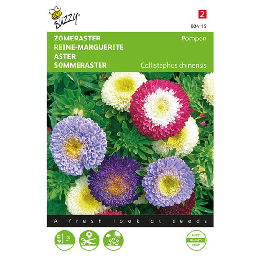 Buzzy® Aster Pompon, mixed