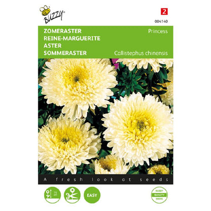 Buzzy® Aster Princess, yellow