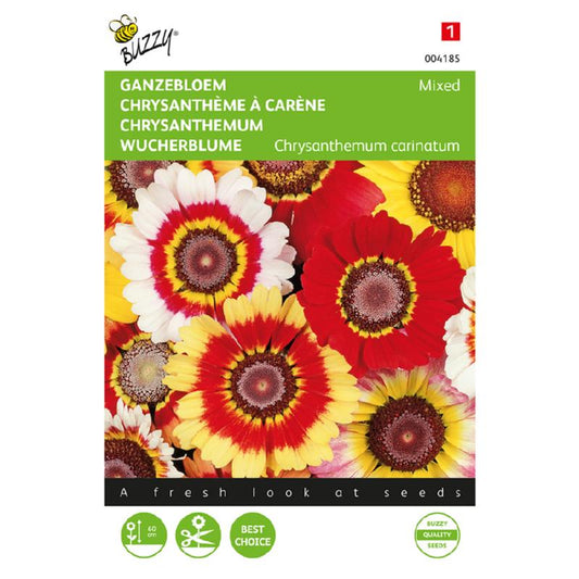 Buzzy® Chrysanthemum Mixed