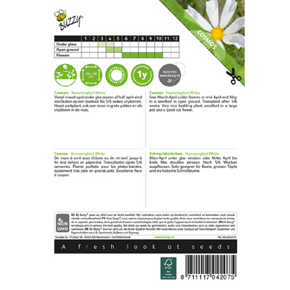 Buzzy® Cosmos Hummingbird White