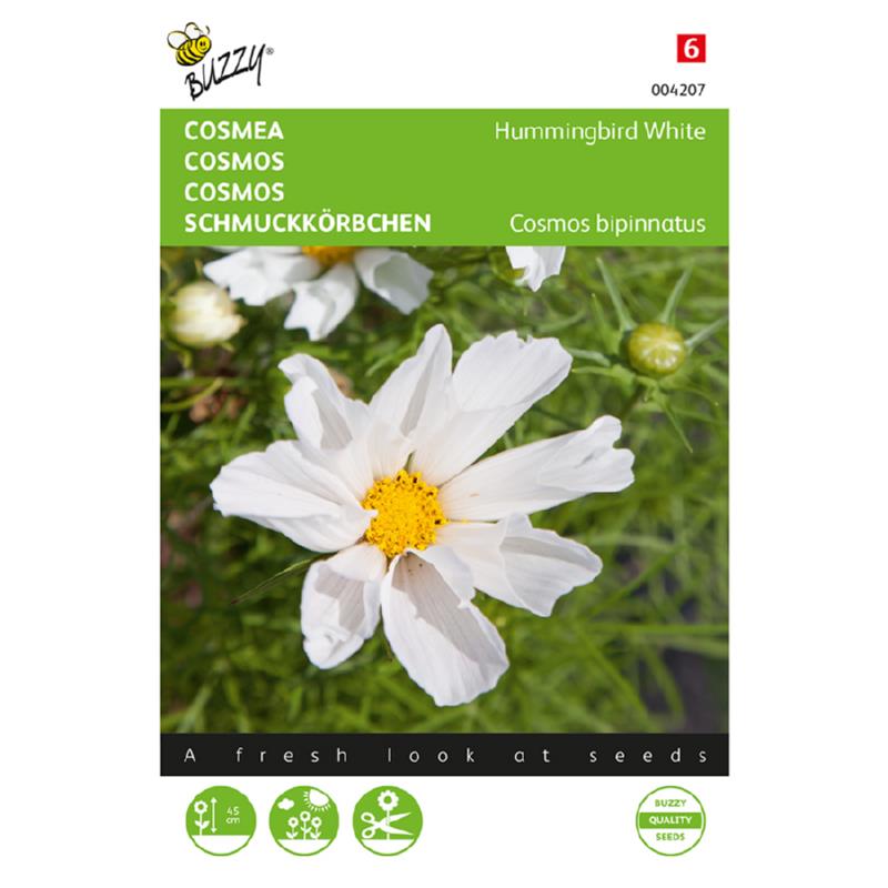 Buzzy® Cosmos Hummingbird White