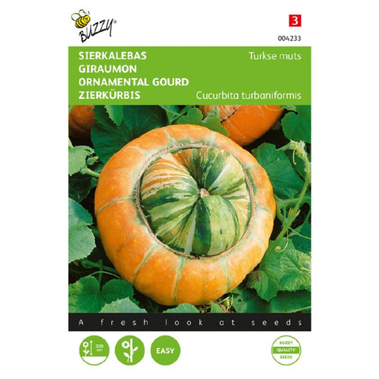 Buzzy® Ornamental gourd Turkish turban