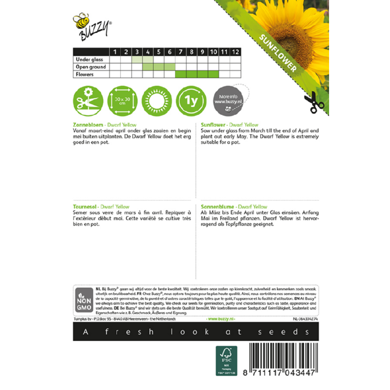 Buzzy® Sunflower dwarf Yellow