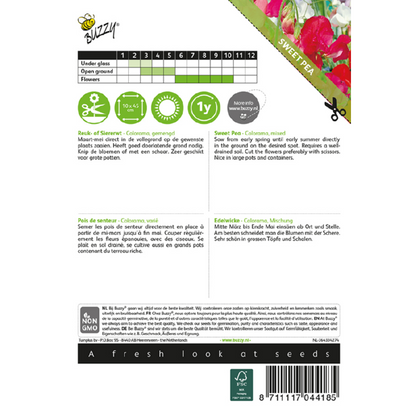 Buzzy® Sweet pea Colorama, mixed