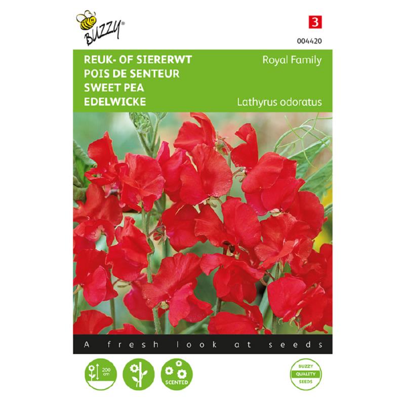 Buzzy® Sweet pea Royal Family red