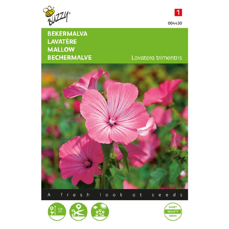 Buzzy® Mallow Pink/Red