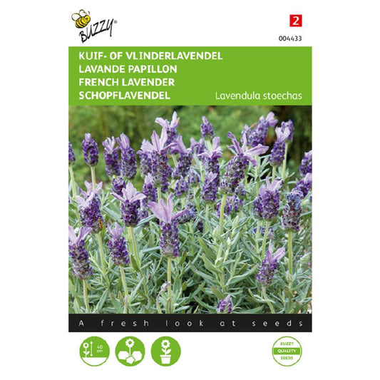 Buzzy® French lavender