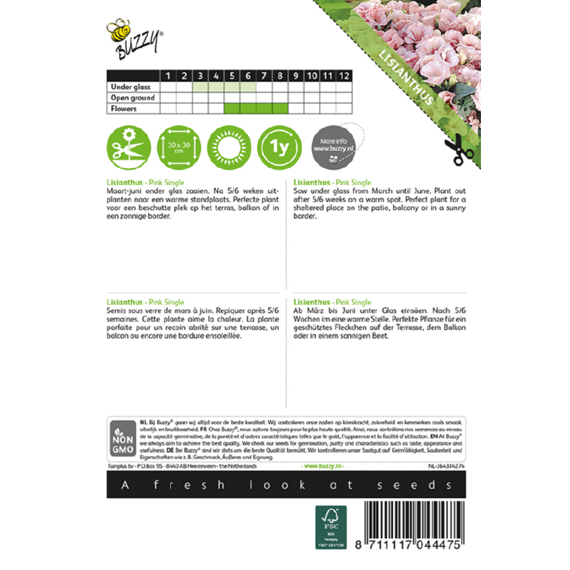 Buzzy® Lisianthus Pink Single