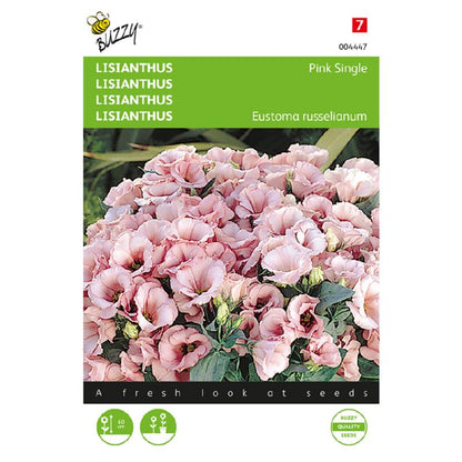 Buzzy® Lisianthus Pink Single