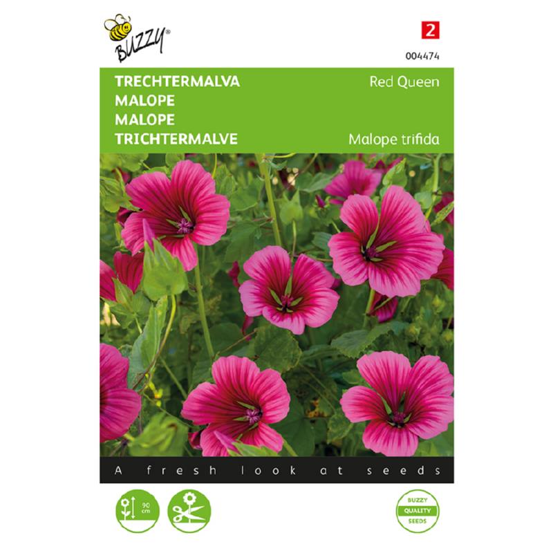 Buzzy® Malope Red Queen