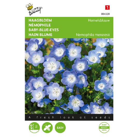 Buzzy® Baby Blue Eyes, Nemophila Sky-Blue