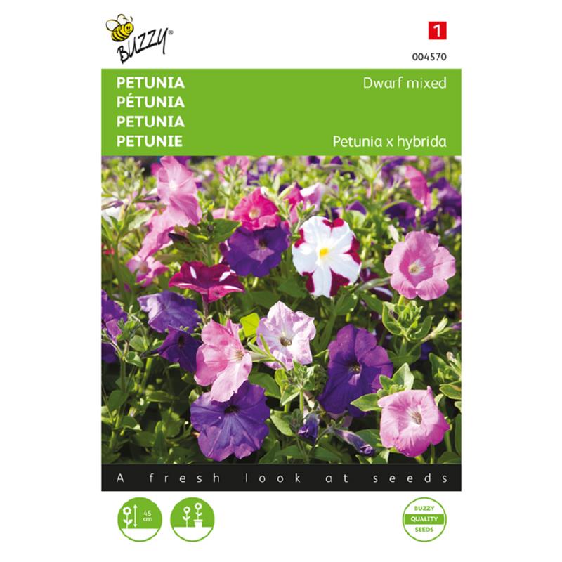 Buzzy® Petunia Dwarf, mixed