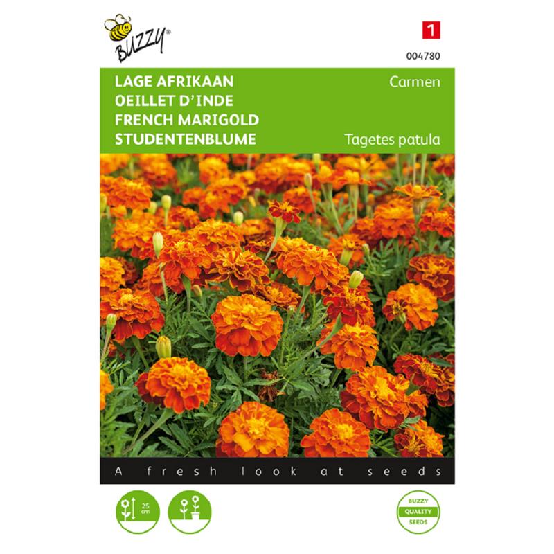 Buzzy® French Marigold Carmen