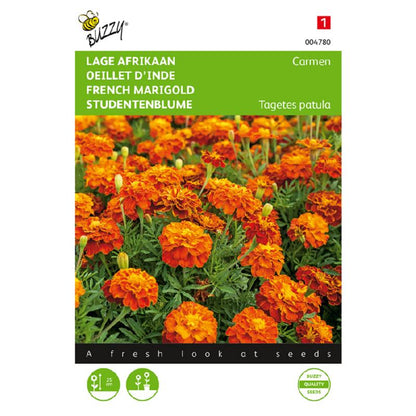 Buzzy® French Marigold Carmen