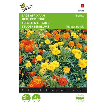 Buzzy® French Marigold Bonita