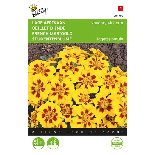 Buzzy® French Marigold Naughty Marietta