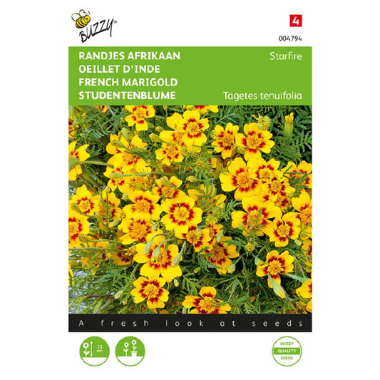 Buzzy® French Marigold Starfire