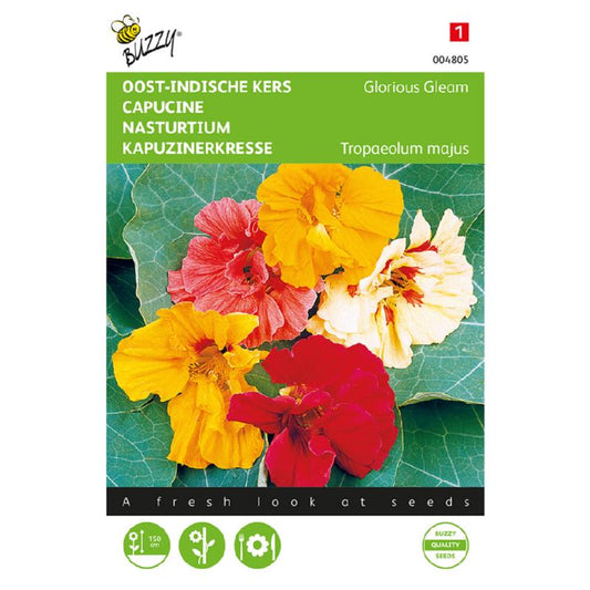 Buzzy® Nasturtium Glorious Gleam