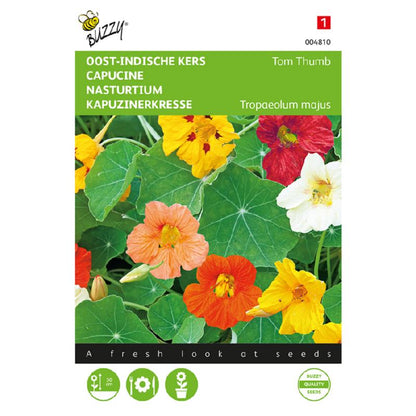 Buzzy® Tropaeolum Tom Thumb Dwarf Single Mixed