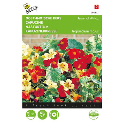 Buzzy® Nasturtium Jewel of Africa