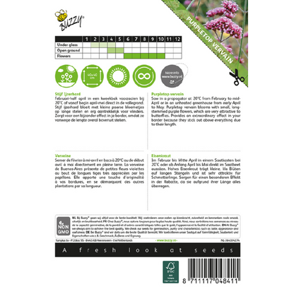 Buzzy® Purpletop vervain