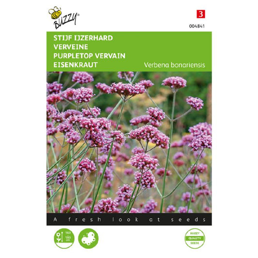 Buzzy® Purpletop vervain