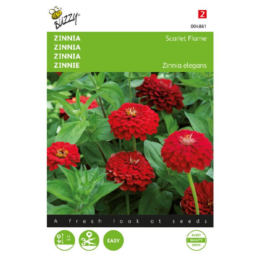 Buzzy® Zinnia Scarlet Flame