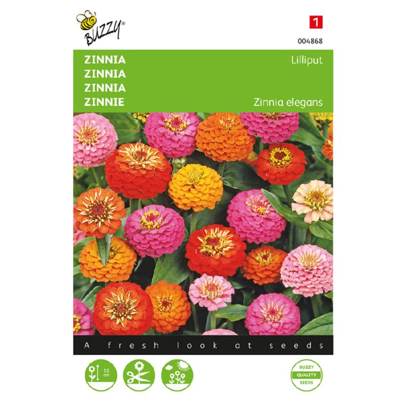 Buzzy® Zinnia Lilliput, mixed