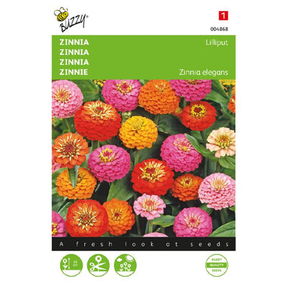 Buzzy® Zinnia Lilliput, mixed