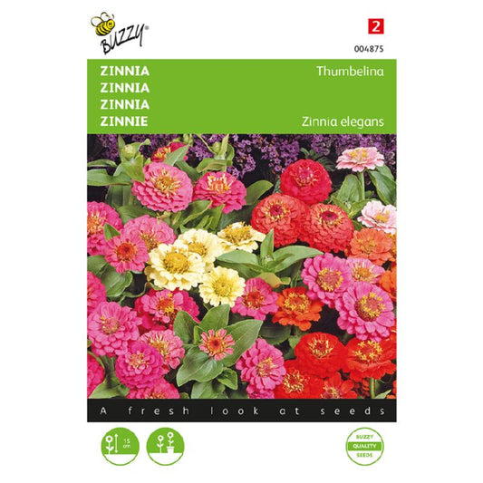 Buzzy® Zinnia Thumbelina, dwarf mixed