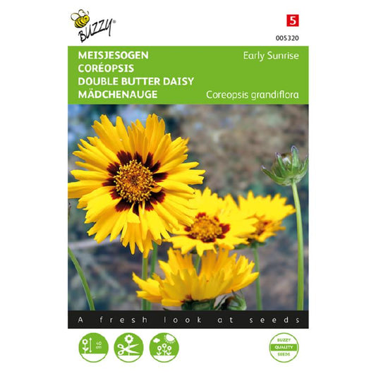 Buzzy® Double butter daisy - Early Sunrise