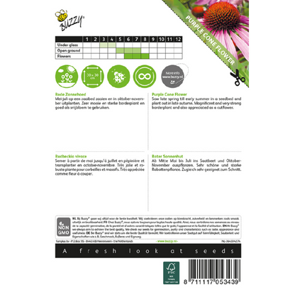 Buzzy® Purple Cone Flower