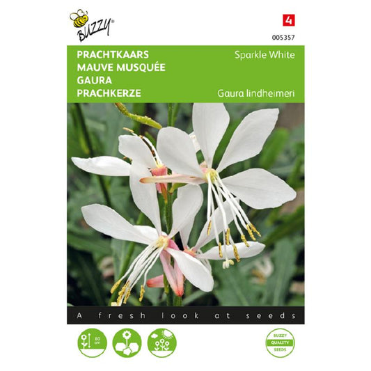 Buzzy® Gaura - Sparkle White