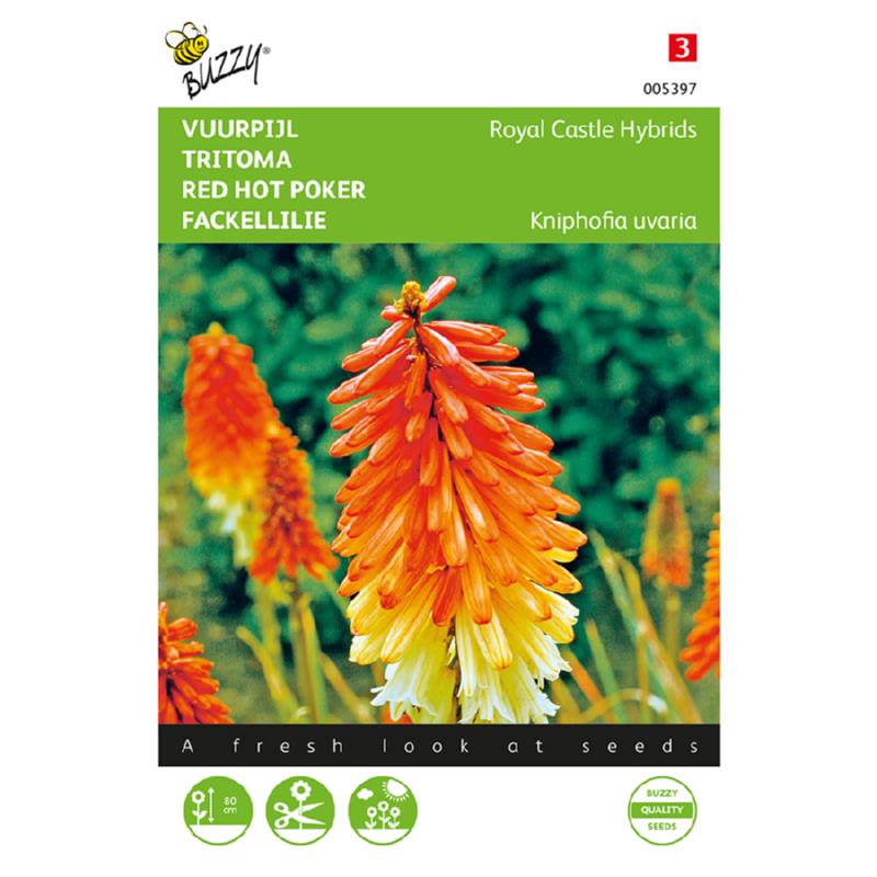 Buzzy® Red Hot Poker Royal Castle Hybrids