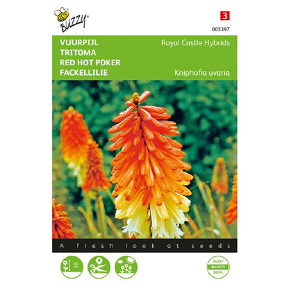 Buzzy® Red Hot Poker Royal Castle Hybrids