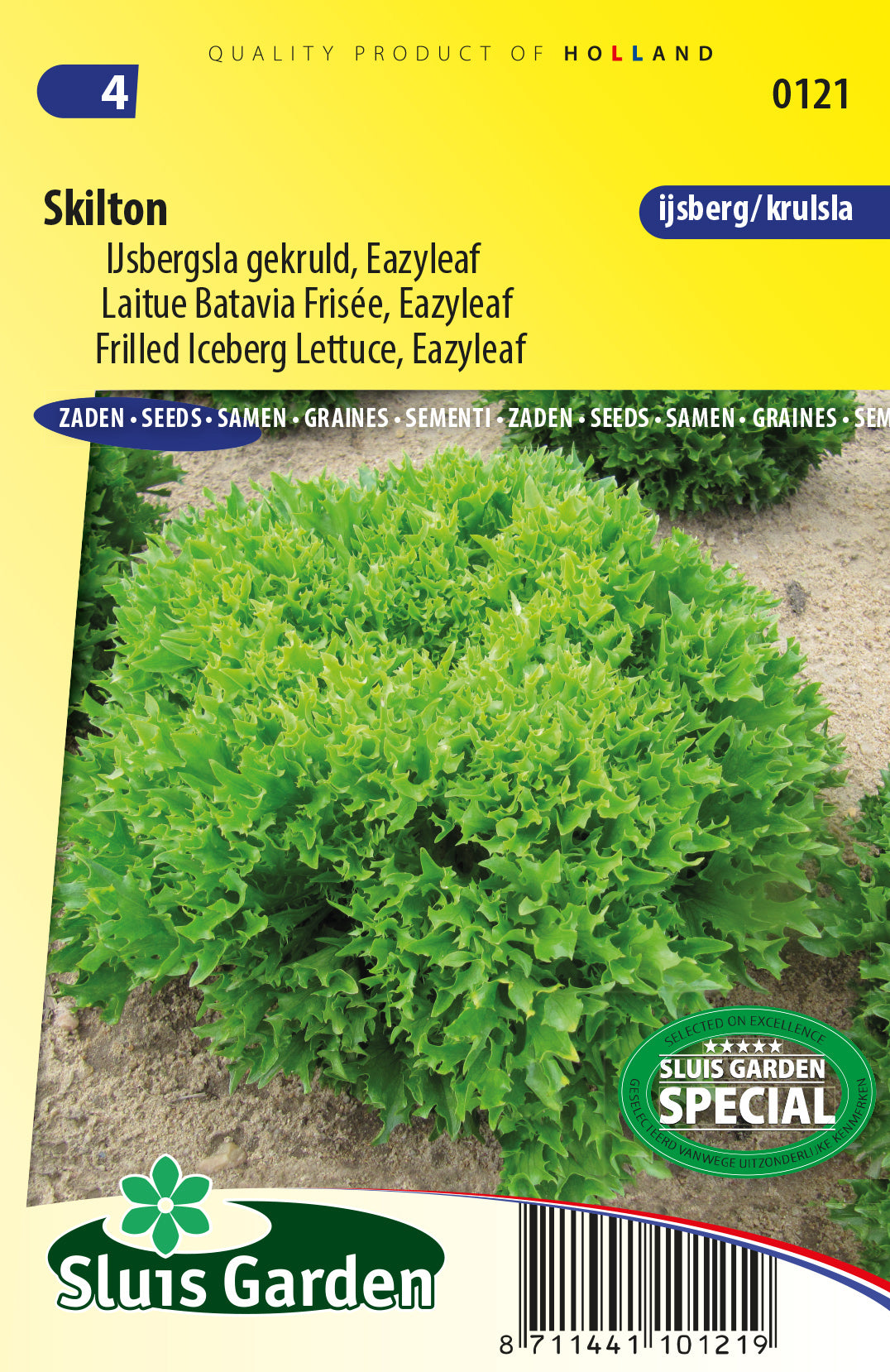 Frilled Iceberg Lettuce "Eazyleaf Skilton"