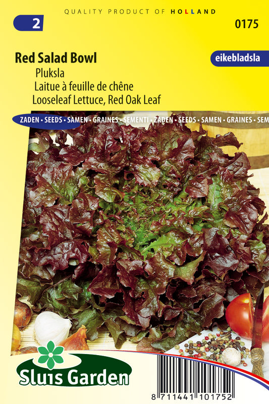 Lettuce Red Salad Bowl